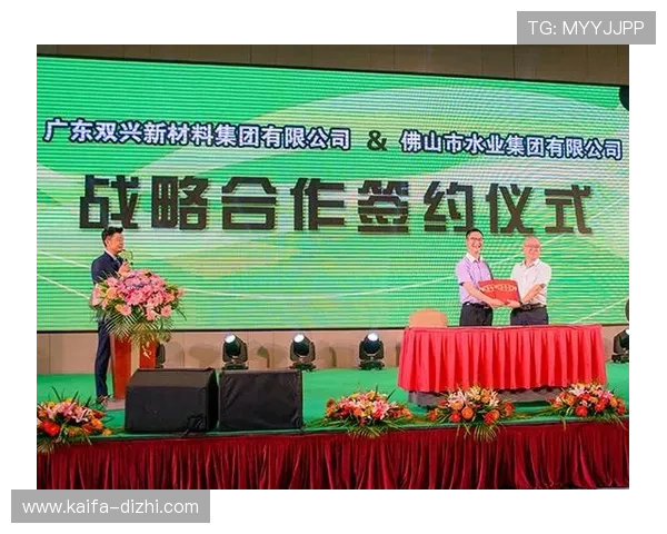 凯发集团有限公司官网：合作项目展示与成功案例分享平台